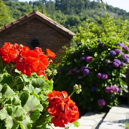 Casa Madrazo Con Piscina Y Parrillas