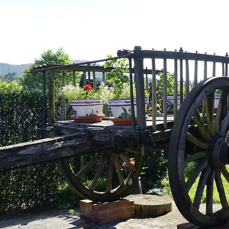 Casa Madrazo Con Piscina Y Parrillas * Правес