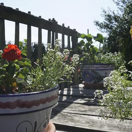 Casa Madrazo Con Piscina Y Parrillas 乡村民宿 Praves